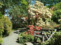 Lea Rhodedendron Gardens