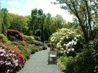Lea Rhodedendron Gardens