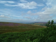 Peak District Moorland