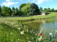 Have-a-BBQ-by-our-nature-pond