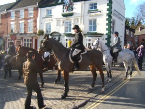 Four Shire Bloodhounds Ashbourne