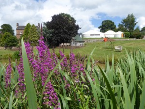 Wedding Venue in Derbyshire