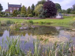 Walking in Derbyshire