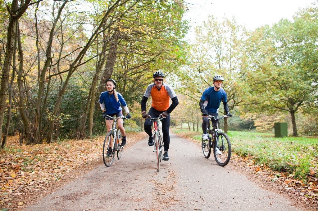 Cyclists on path in park