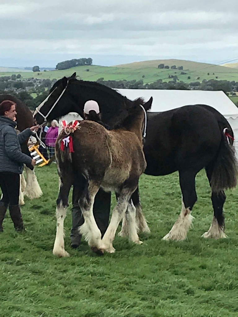 Manifold Valley Show August 2019